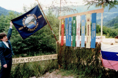 CCF_000115